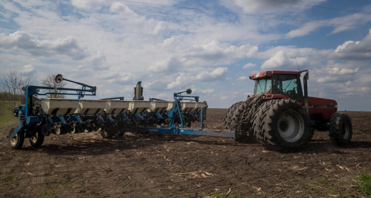 Advierten crisis alimentaria en Chile ante problemas en la producción de trigo en Argentina