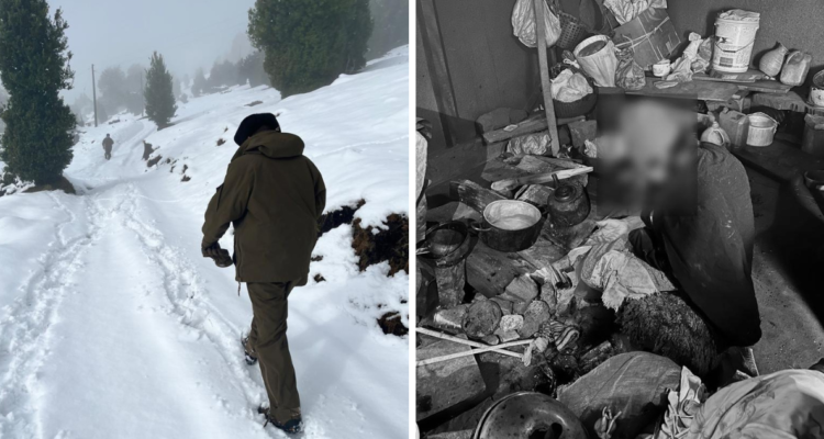 Adulta mayor encontrada sola, aislada y en precarias condiciones en Panguipulli