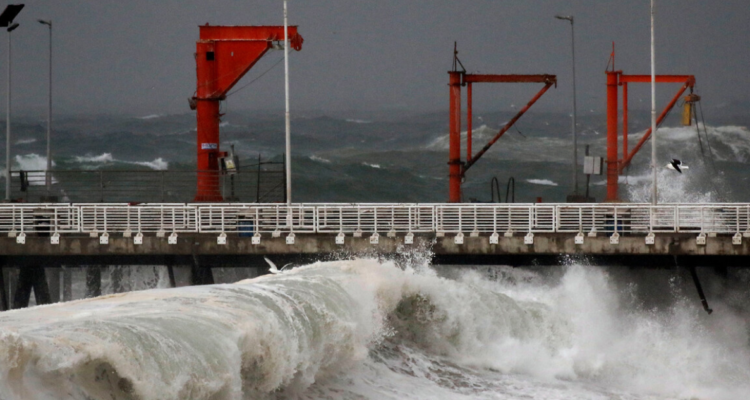 Anuncian marejadas desde Coquimbo a Juan Fernández