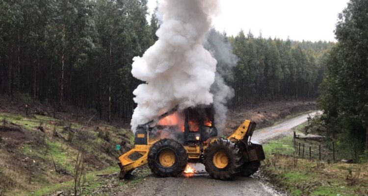 trabajador predio Arauco