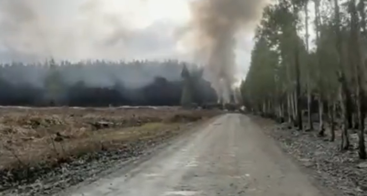 Al menos cinco camiones destruidos deja ataque incendiario en Collipulli.