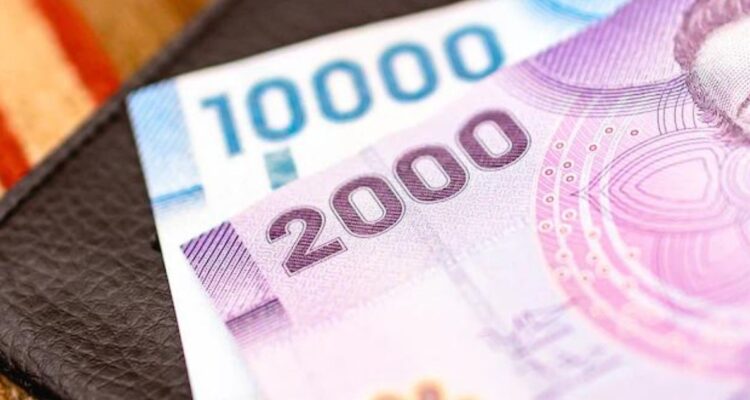 Bono Invierno Chile Apoya