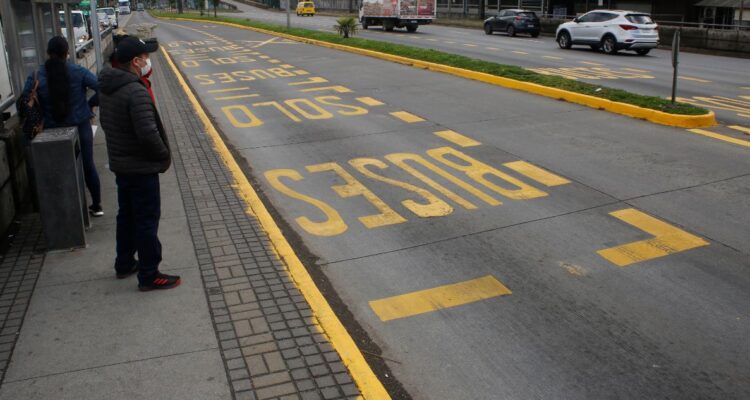 Gobierno buses Palomares