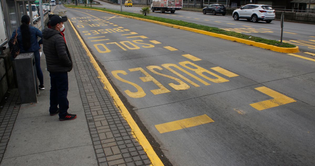 Gobierno buses Palomares