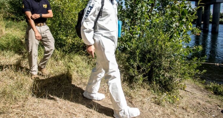 Cadáver río Cachapoal