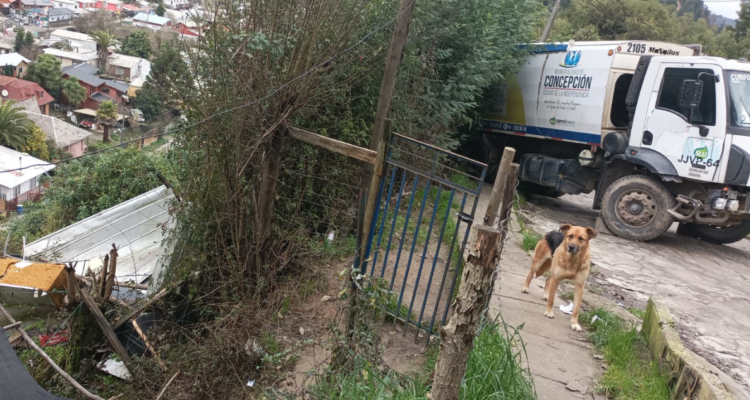 Salvaron de milagro: camión recolector de basura queda a punto de caer por quebrada en Concepción.