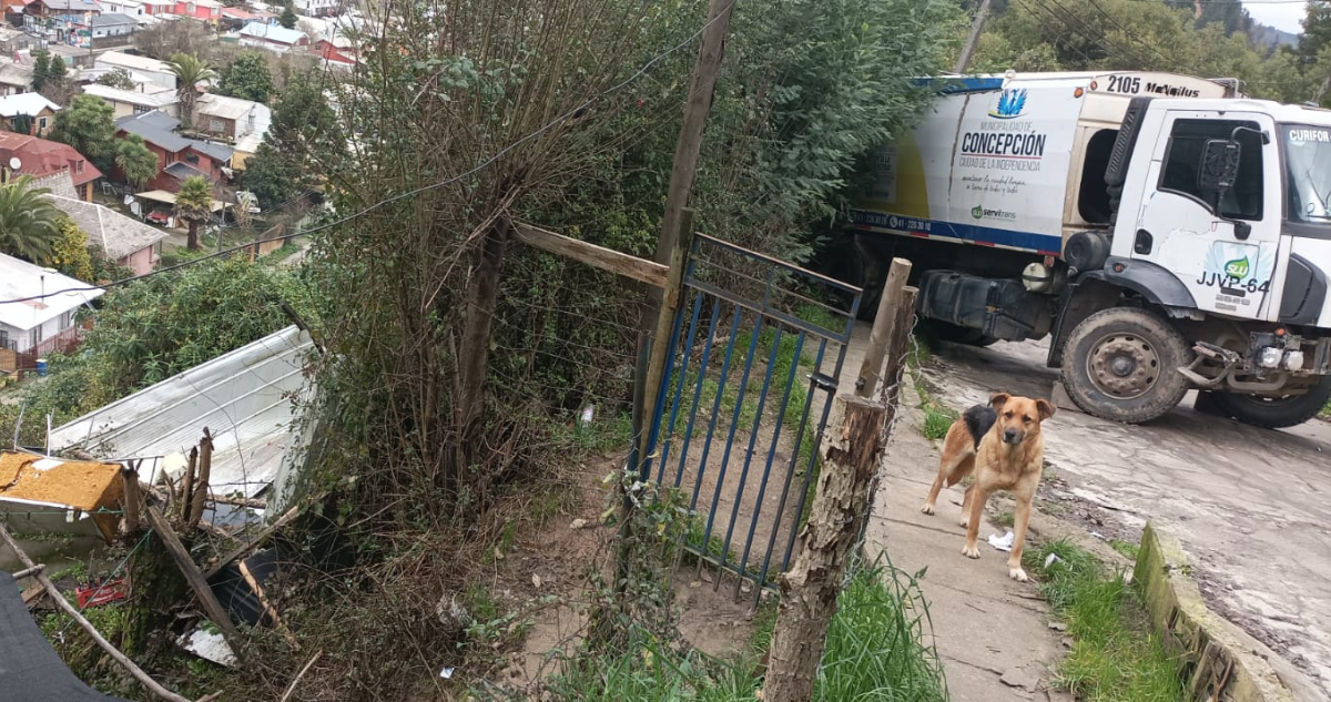 Salvaron de milagro: camión recolector de basura queda a punto de caer por quebrada en Concepción.