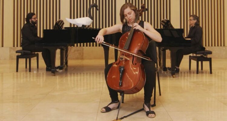 Carnaval de los animales en concierto