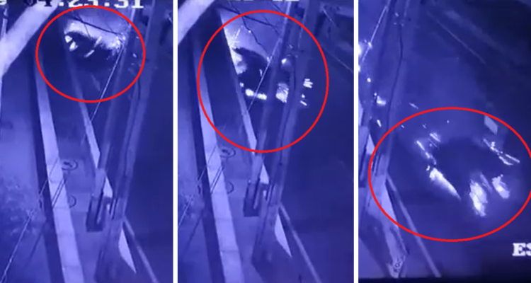 Vehículo con 7 ocupantes termina partido en dos tras choque en Viña del Mar: uno salió eyectado.