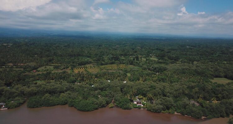 Foto contexto estado de manglares