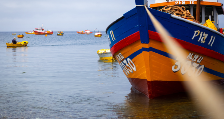 Entregan carta con desistimiento de comunidades indígenas por borde costero de Coronel.