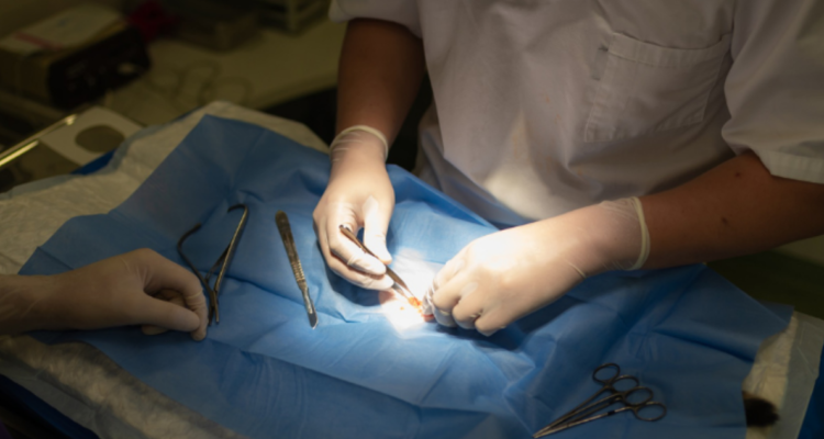 condenan a falso veterinario en ovalle