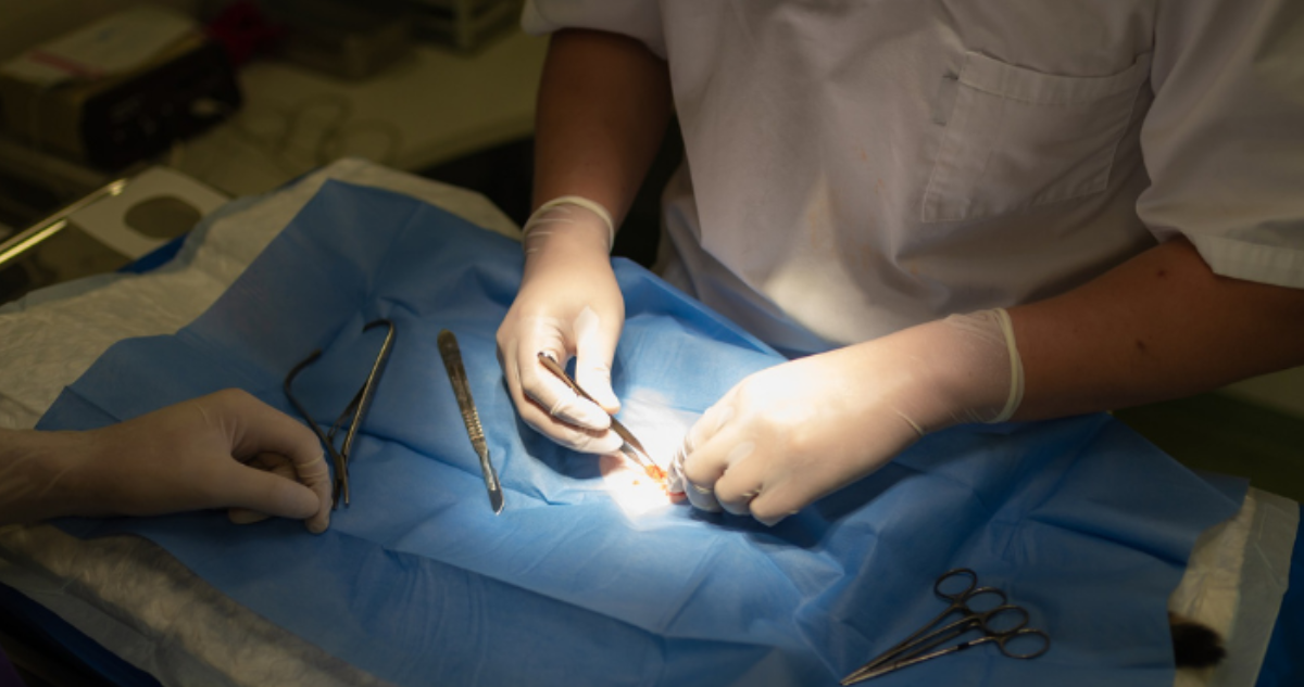 condenan a falso veterinario en ovalle