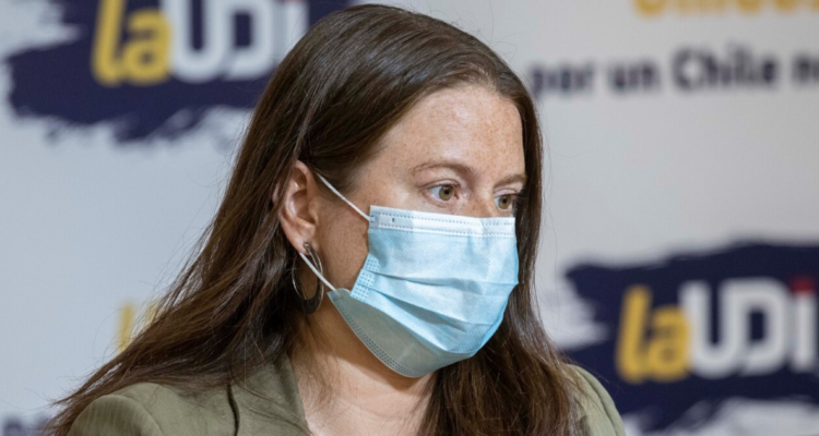 Acusan que exconvencional Constanza Hube repartió documentos con dichos falsos sobre propuesta de NC.