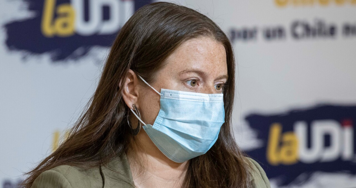 Acusan que exconvencional Constanza Hube repartió documentos con dichos falsos sobre propuesta de NC.