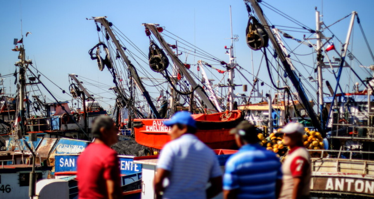 Pescadores industriales ven con preocupación solicitud de comunidades por borde costero en Coronel.