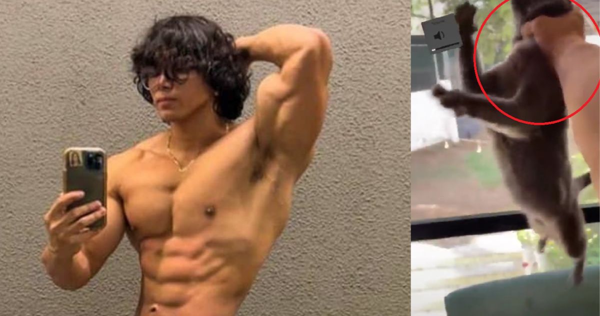 Daddy Aioli acusado de maltratar a su gato por Twitter