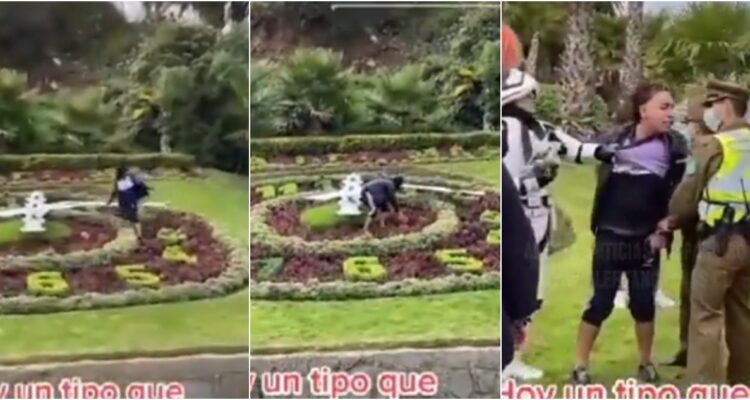 Daños en reloj de flores