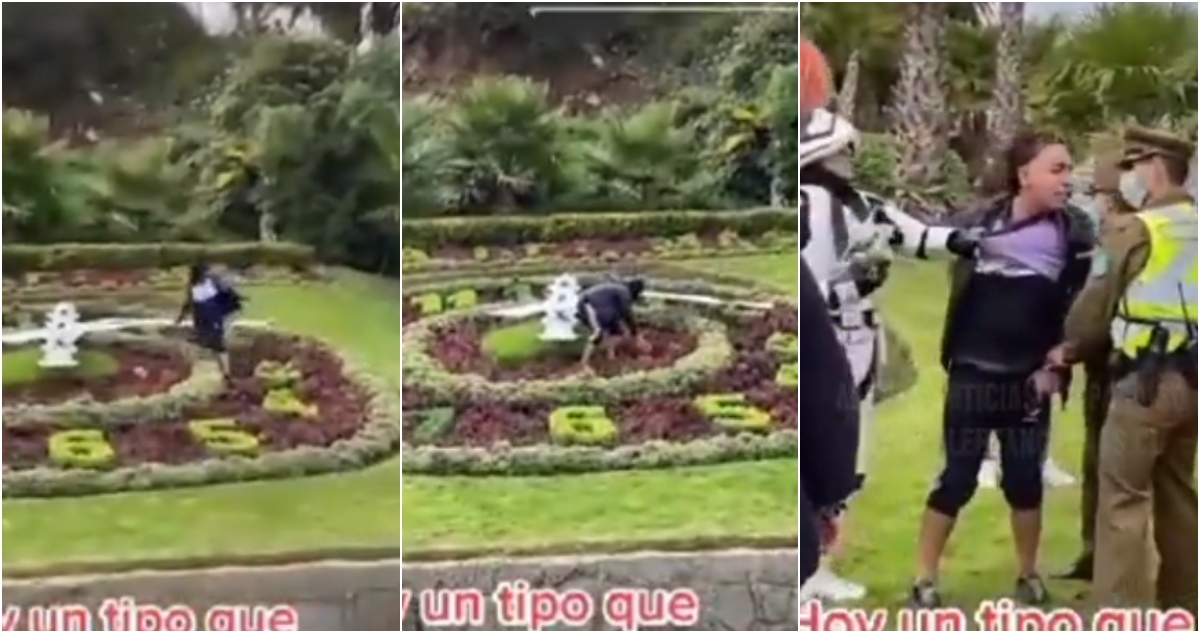 Daños en reloj de flores