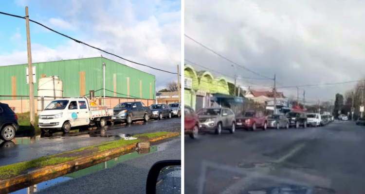 Desabastecimiento de pellet provoca largas filas en Talcahuano