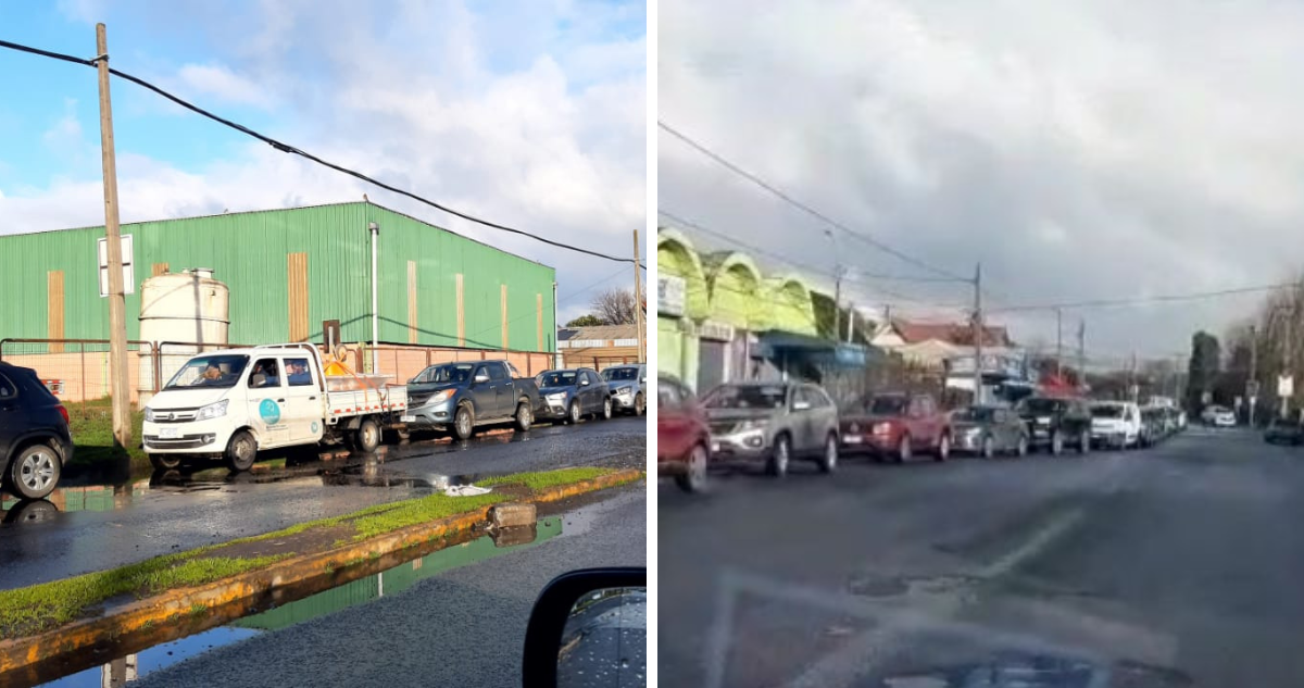 Desabastecimiento de pellet provoca largas filas en Talcahuano