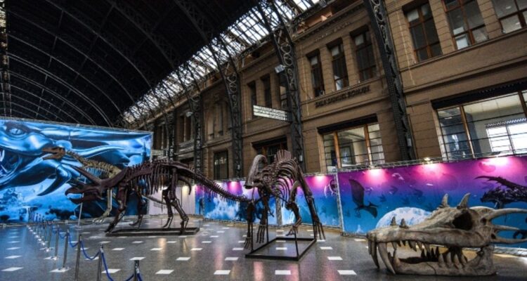 Dinosaurios y Dragones Fantásticos