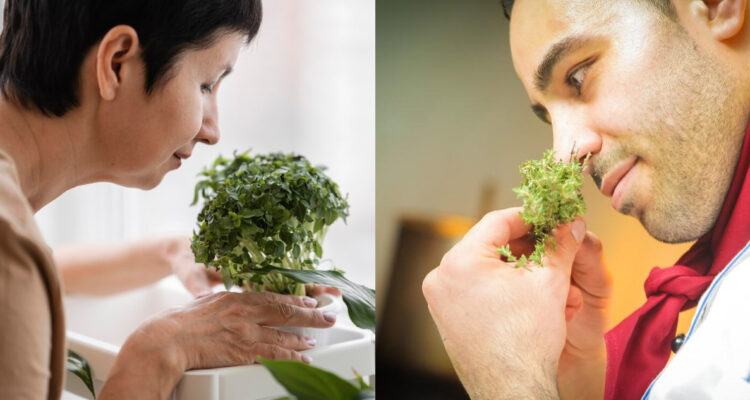 olores comportamiento humano