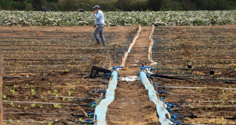 CONTEXTO | Sócrates Orellana | Agencia UNO