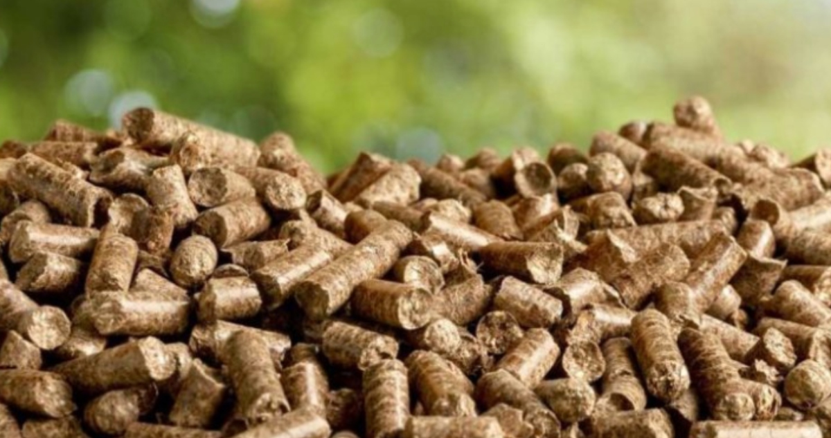 Escasez de pellet