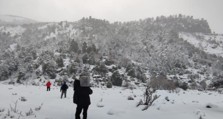 2 mil familias siguen aisladas en Alto Bío Bío