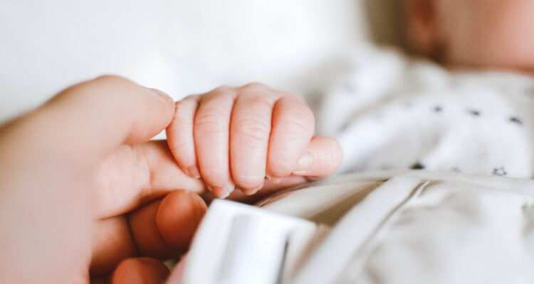 fecundación-in-vitro