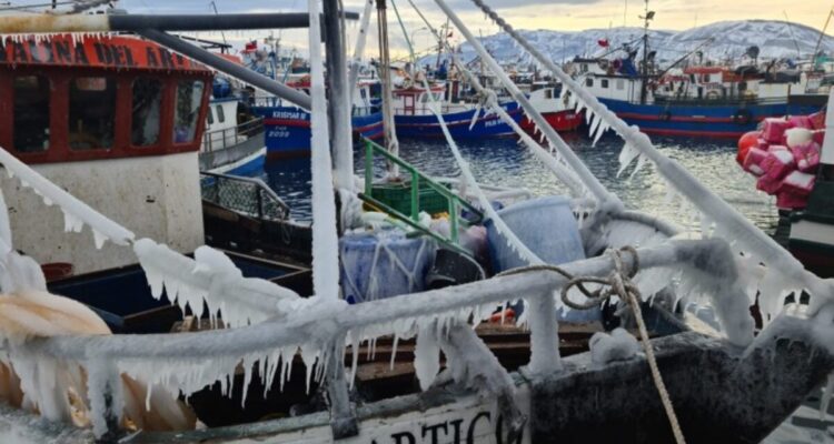 Puerto Natales marca récord de temperatura: -18,8°