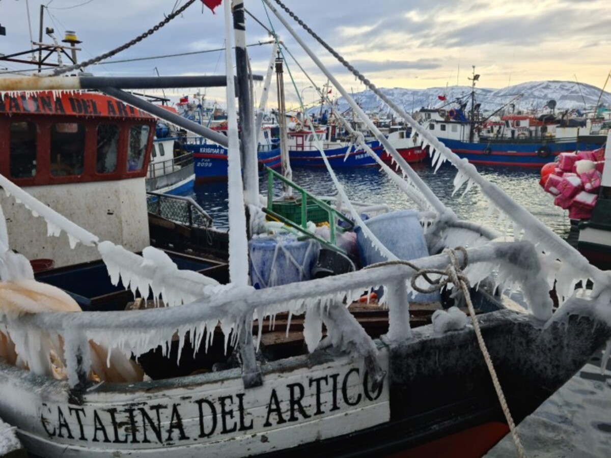 Puerto Natales marca récord de temperatura: -18,8°
