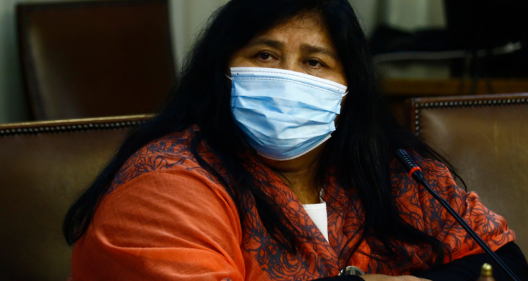 Diputada Nuyado afirma que se construirán más de 14 mil casas en Los Lagos por déficit habitacional