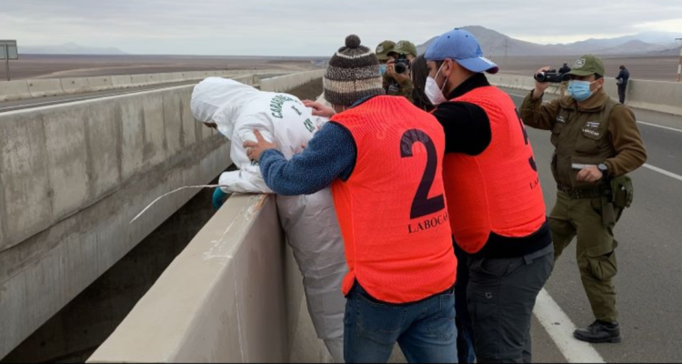 homicidio de camionero en antofagasta