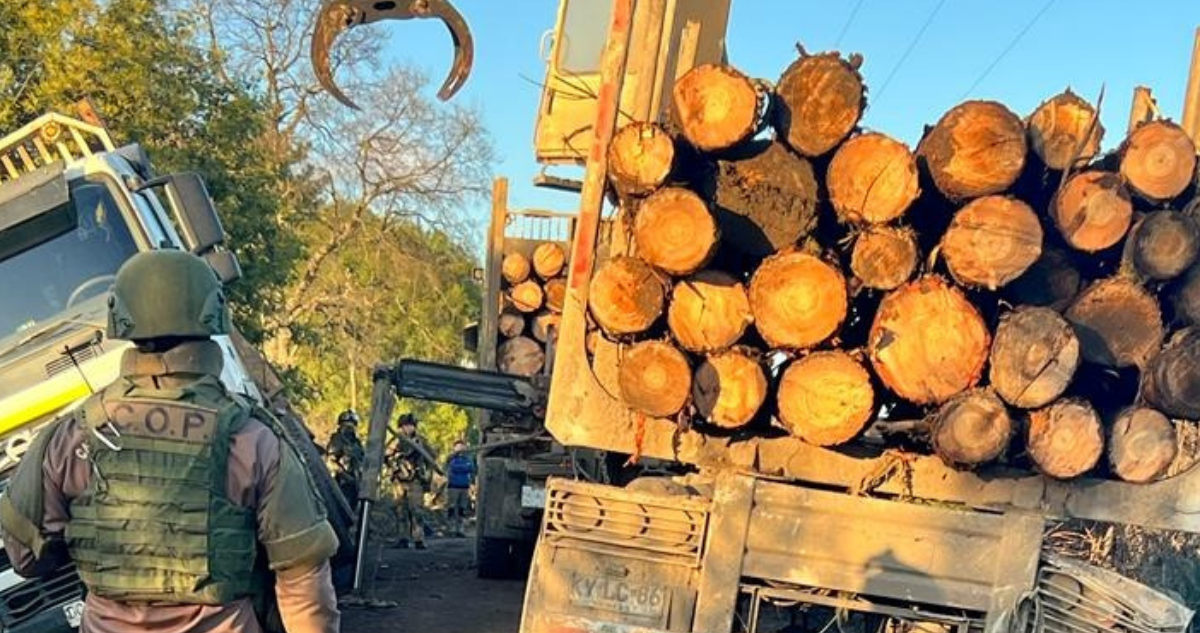 Robo de madera en Victoria