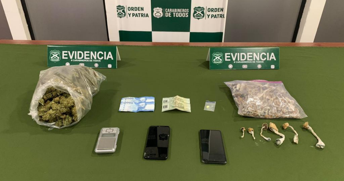 Incautan hongos alucinógenos, LSD, marihuana y cocaína en control en Ruta 5 Sur en Mulchén