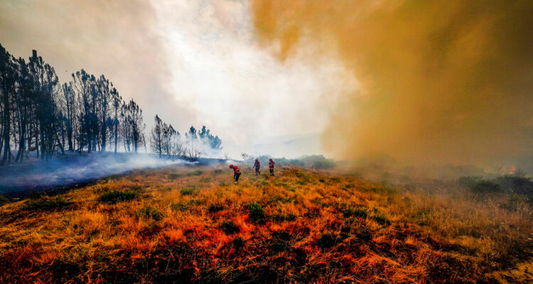 Incendio en el municpio de Baiao, en el norte de Portugal.
