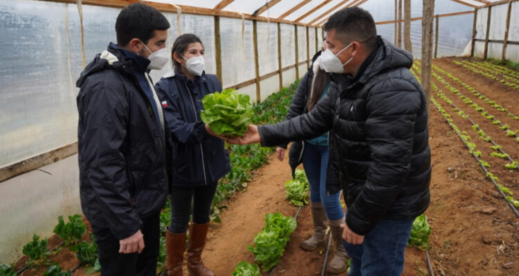 Director de Indap visita Bío Bío