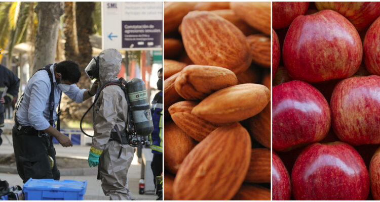 Qué es y qué hacer ante una intoxicación con cianuro: dónde se puede llegar a encontrar