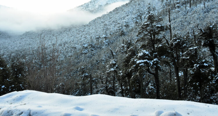 Qué es la isoterma 0: el límite de bajas temperaturas que define si nieva o llueve