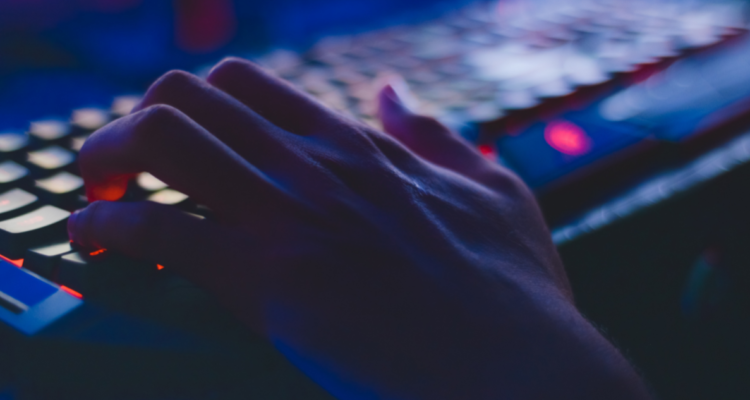 ley de delitos informaticos