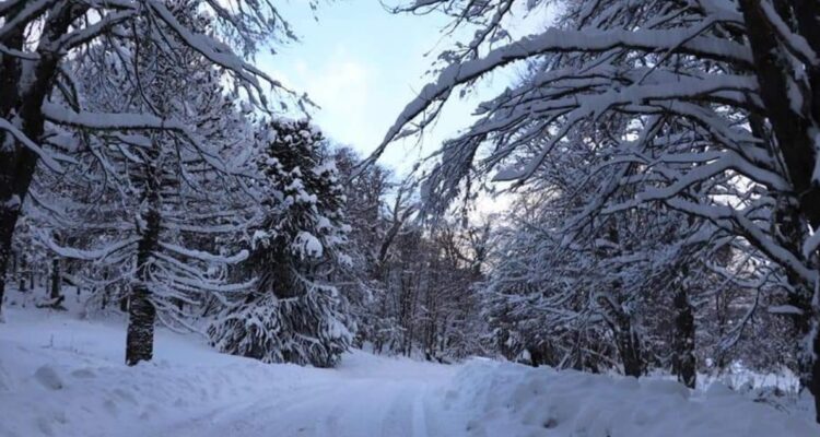 personas aisladas Lonquimay nevazones