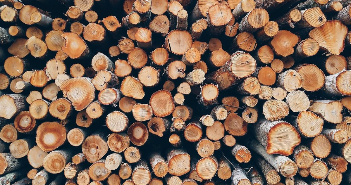 Suizos crisis de madera