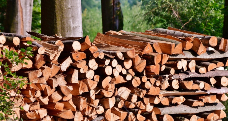 Suizos acumulan madera