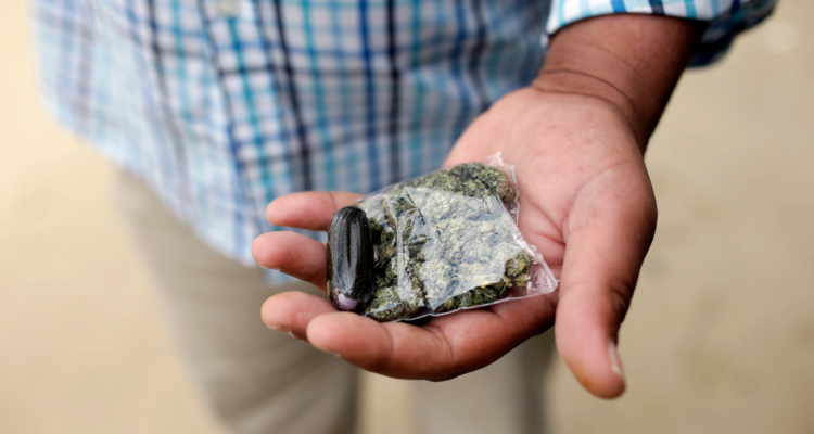 Singapur ejecuta a hombre por traficar cannabis: país tiene la ley antidrogas más severas del mundo