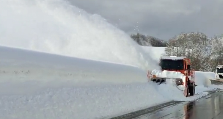 Más de 1.700 personas ingresaron a Chile por paso Salmore: cifra no se veía desde 2019