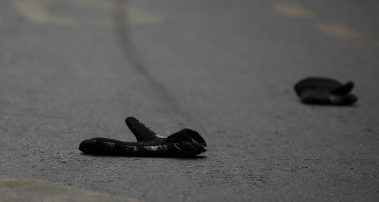 Estudiante termina con múltiples fracturas tras ser atropellado en Lanco: está en riesgo vital