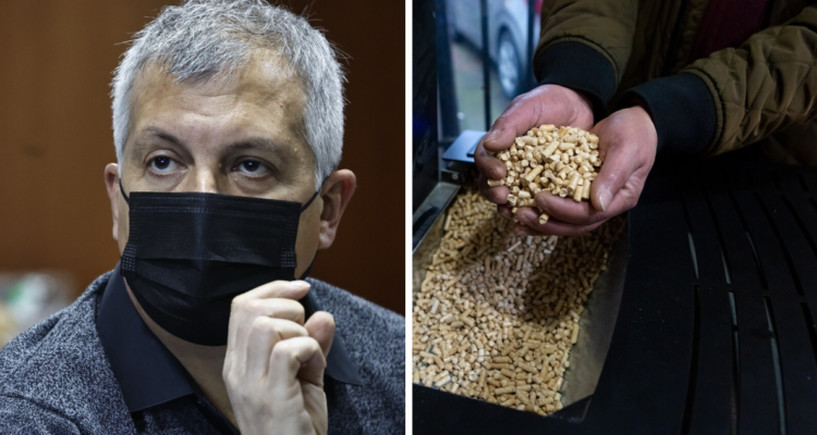 Ministro de Energía se refiere a escasez de pellet en La Araucanía