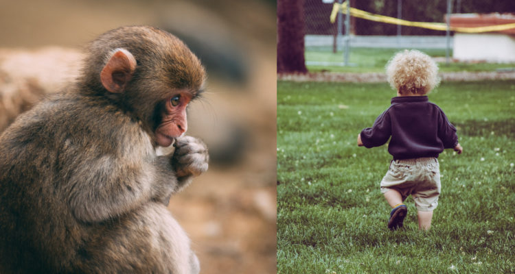 ninos-contagiados-viruela-del-mono-pediatricos